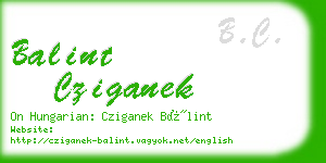 balint cziganek business card